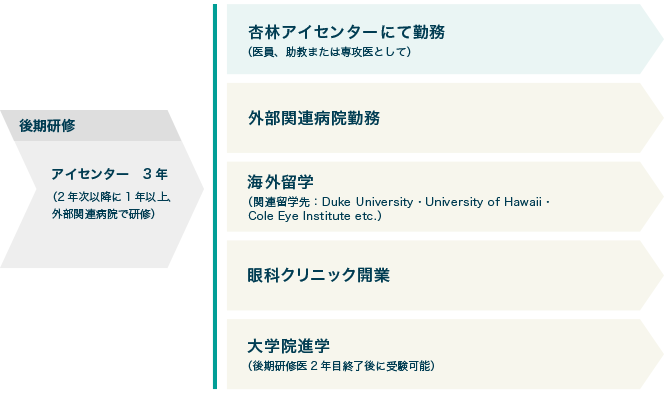 イメージ 研修修了後キャリアプラン